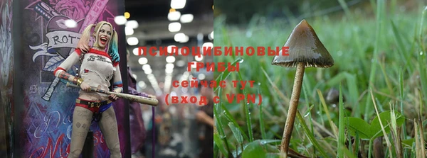 эйфоретик Нефтегорск