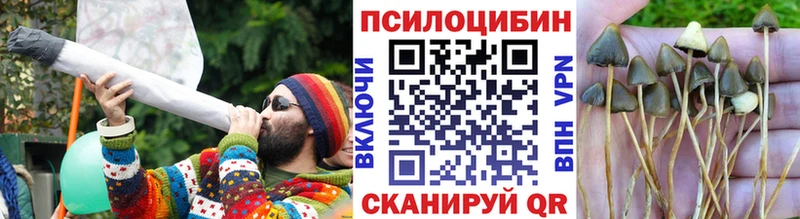 Псилоцибиновые грибы Magic Shrooms  KRAKEN маркетплейс  Кировград 