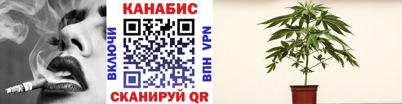 Конопля OG Kush  ОМГ ОМГ ONION  Кировград 